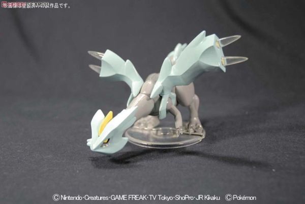 萬代 BANDAI 神奇寶貝 寶可夢 21 酋雷姆 組裝模型 