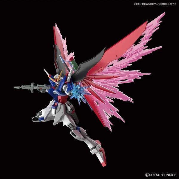 萬代 BANDAI 1/144 鋼彈模型 HGCE #224 命運鋼彈 組裝模型 