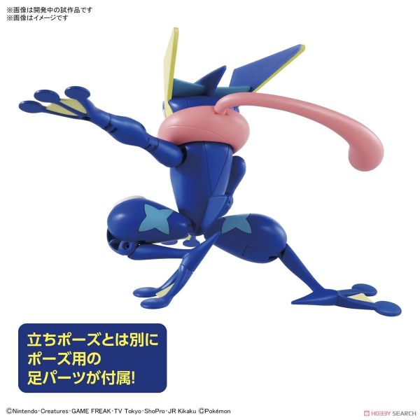 萬代 BANDAI 精靈寶可夢 POKEMON PLAMO 收藏集 47 甲賀忍蛙 組裝模型 