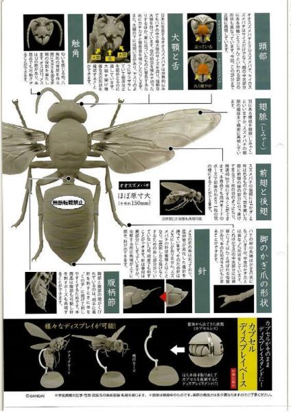 萬代 轉蛋 環保扭蛋 造型扭蛋 昆蟲系列 雀蜂 胡蜂 <2款一套> 