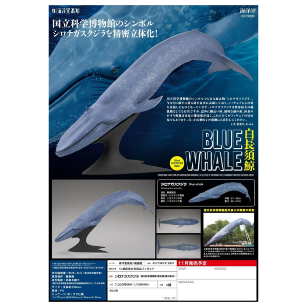 預購11月 海洋堂 KAIYODO 國立科學博物館 戶外展示 藍鯨 