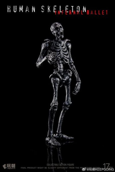 預購2月 玩朝 生物課堂 1/12 人體骨骼 骷髏素體 成品 關節可動模型 