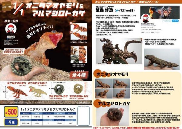 SO-TA盒玩 環保轉蛋 1/1鬼玉尾守宮與犰狳蜥 一中盒全4種 