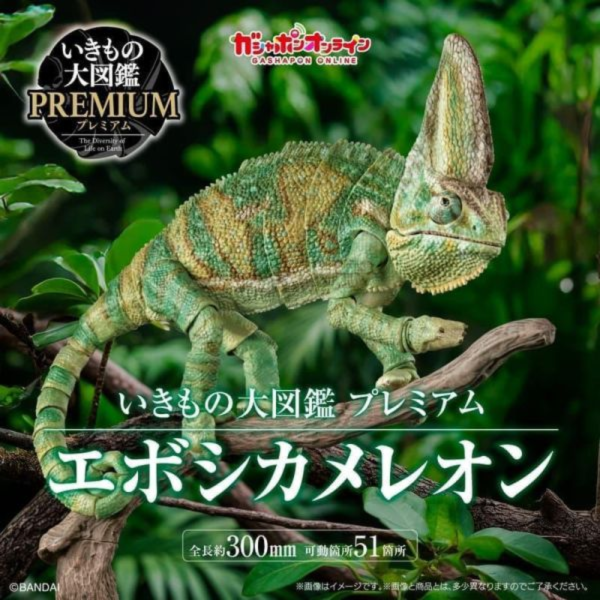 預購5月 萬代 代理版 扭蛋袋裝 生物大圖鑑PREMIUM 高冠變色龍 全1款 