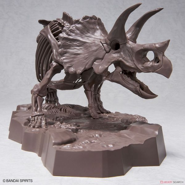 萬代 BANDAI 組裝模型 1/32 幻想骨骼系列 三角龍 