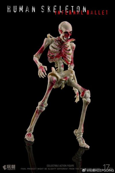 預購2月 玩朝 生物課堂 1/12 人體骨骼 骷髏素體 成品 關節可動模型 