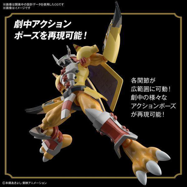 不挑盒況 萬代 BANDAI 組裝模型 FRS 數碼寶貝 戰鬥暴龍獸 動畫版 