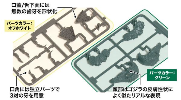 預購12月 FUJIMI 富士美 Chibimaru 哥吉拉系列 碧奧蘭蒂 70週年紀念版 組裝模型 