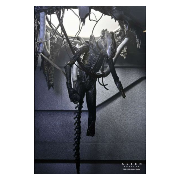預購7月 NECA 異形 羅穆路斯 Xenomorph XX121 實驗室懸吊 豪華版 7吋 可動 