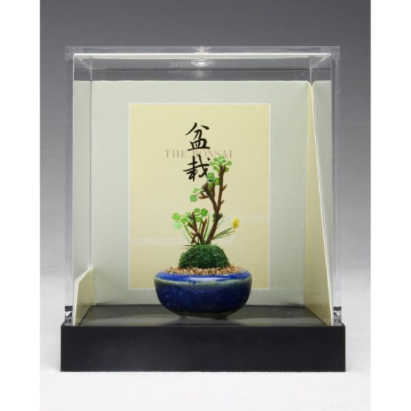 預購9月 PLATZ BONN15 野草圓形盆栽 紺色 完成品 