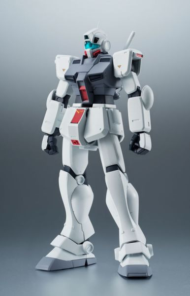 萬代 代理版 ROBOT魂 SIDE MS RGM-79D 吉姆寒帶型 ver ANIME 