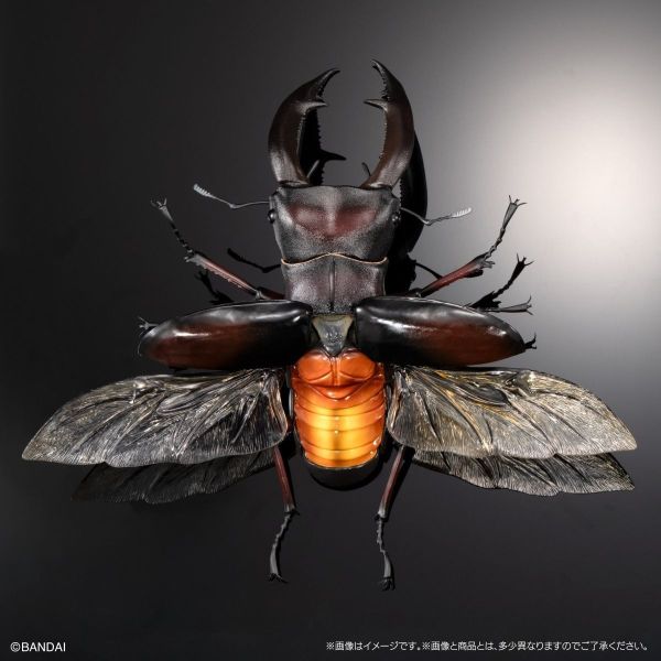 預購26年3月 萬代 盒玩 生物大圖鑑PREMIUM 巨顎叉角鍬形蟲（紅） 