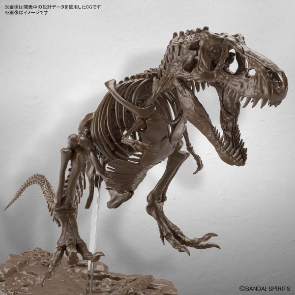 萬代 BANDAI 1/32 幻想骨骼系列 暴龍 組裝模型 