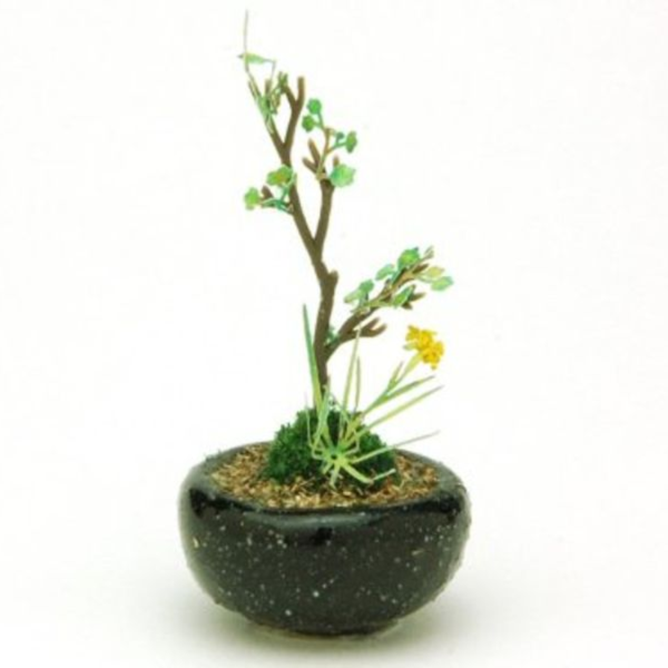 預購9月 PLATZ BONN06 圓形盆栽 黑色 完成品 