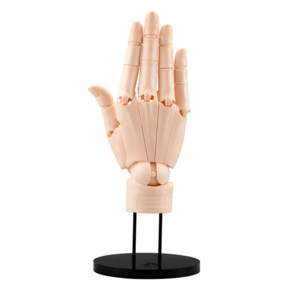 預購6月 壽屋 AT021『A.S.I』右手掌 淡橙色 21cm 再版 