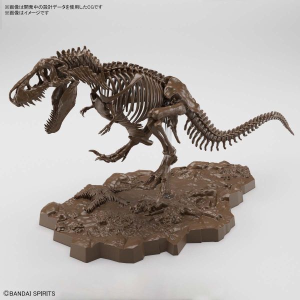 萬代 BANDAI 1/32 幻想骨骼系列 暴龍 組裝模型 