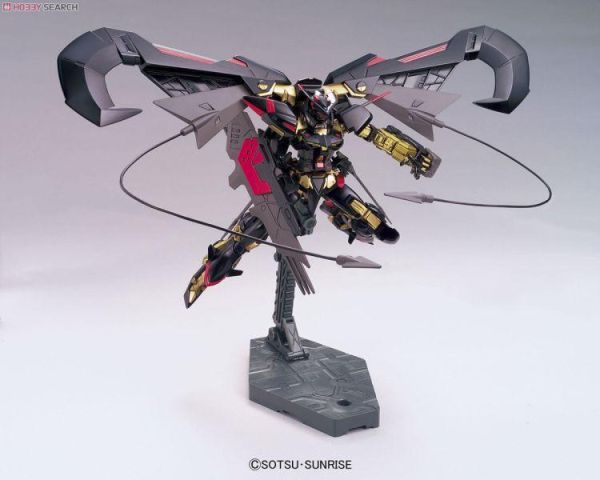 萬代 BANDAI 1/144 鋼彈模型 HG SEED 59 金異端 天蜜娜 