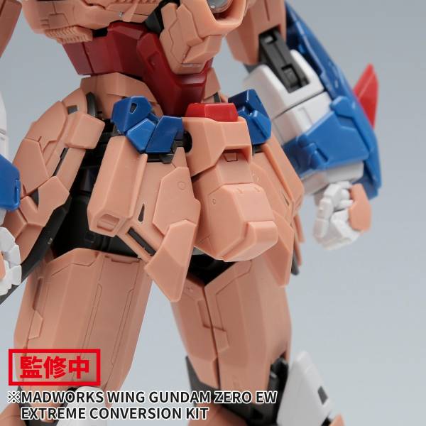 MADWORKS MG 1/100 飛翼零式特裝型 Ver.Ka <專用GK改套> Ver.蛇先生 <本體+翅膀> 