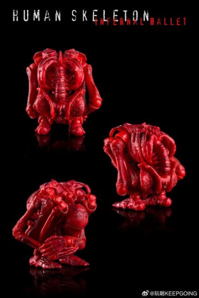 預購2月 玩朝 生物課堂 1/12 人體骨骼 骷髏素體 成品 關節可動模型 