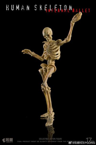 預購2月 玩朝 生物課堂 1/12 人體骨骼 骷髏素體 成品 關節可動模型 