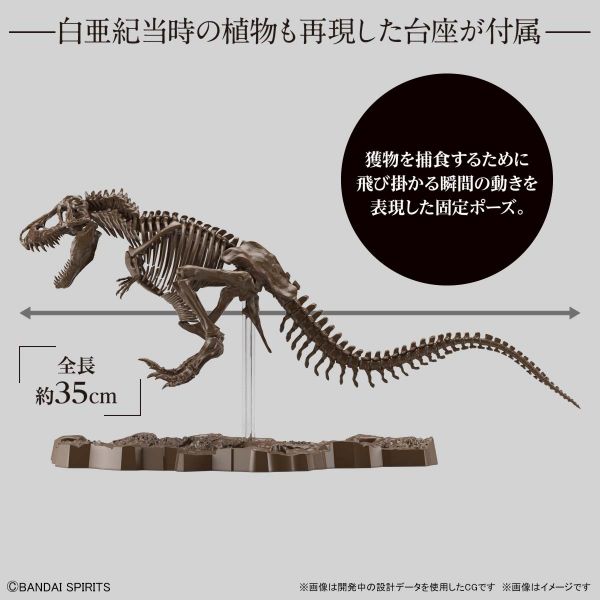 萬代 BANDAI 1/32 幻想骨骼系列 暴龍 組裝模型 