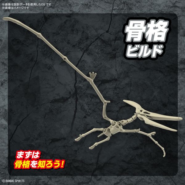 <不挑盒況> 萬代 恐龍組裝模型 翼手龍 組裝模型 