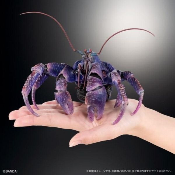 預購8月 萬代 生物大圖鑑PREMIUM 椰子蟹 紫色 