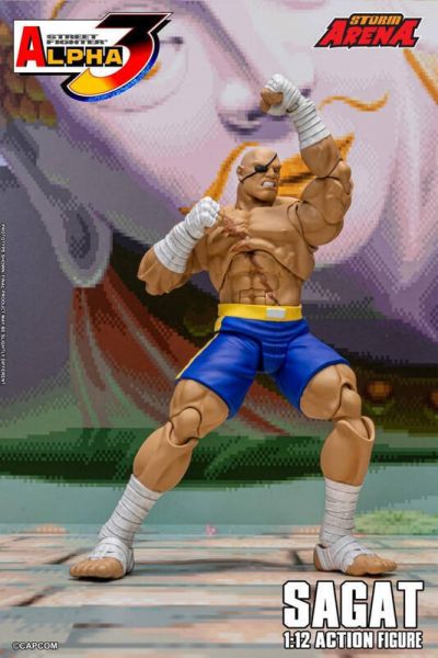 預購第四季 STORM ARENA 1/12 快打旋風 ALPHA 3 沙加特 