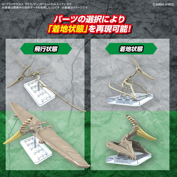 <不挑盒況> 萬代 恐龍組裝模型 翼手龍 組裝模型 