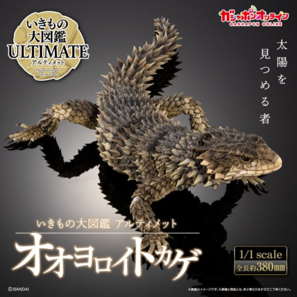 預購11月 萬代 代理版 萬代 BANDAI 盒玩 生物大圖鑑 巨型環尾蜥 