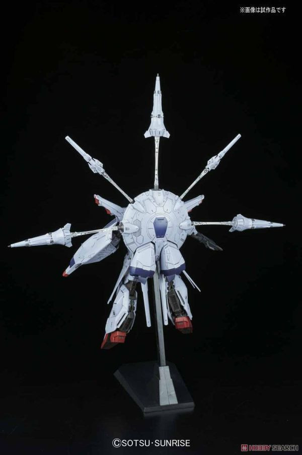 萬代 BANDAI 1/100 鋼彈模型 MG 天帝鋼彈 組裝模型 