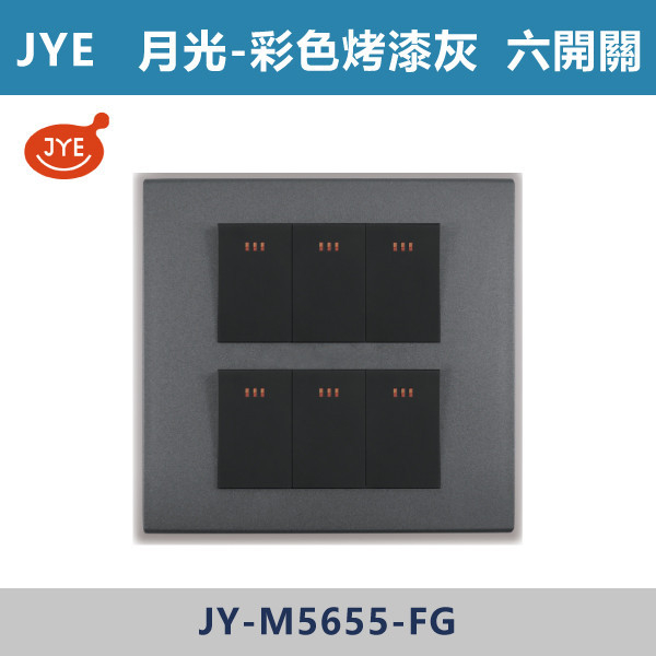 【JYE月光彩色烤漆灰】JY-M5655-FG 六開關 JYE,月光系列,摩登灰,摩登金,摩登銀,摩登黑,竹款,烤漆灰,月光白,開關插座,開關面板,配線器具,特殊顏色開關面板