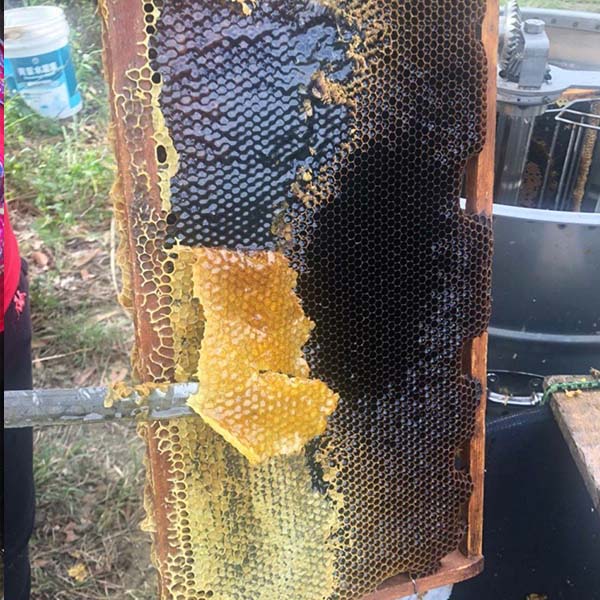 蜂巢蜂業  荔枝蜂蜜醋 