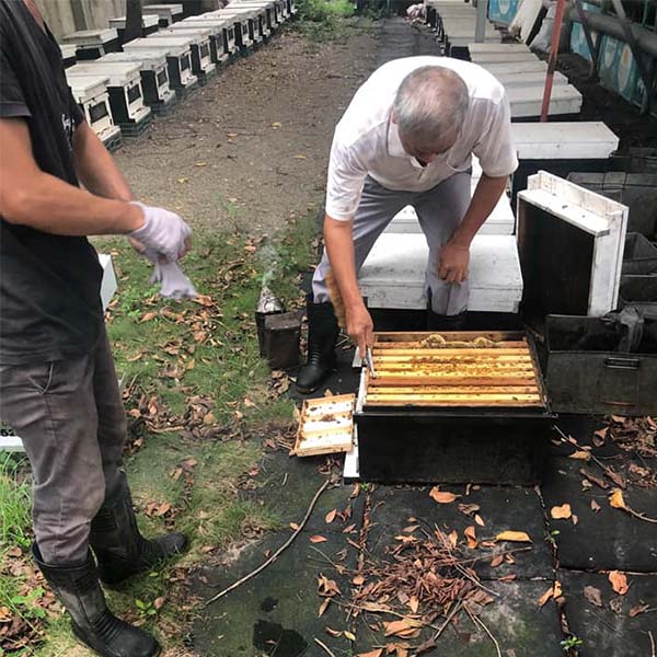 蜂巢蜂業  荔枝蜂蜜醋 