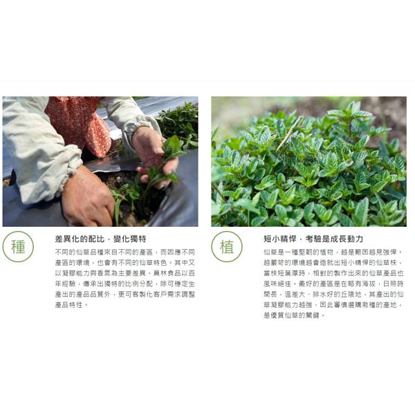 員林食品 百年仙草甘茶 