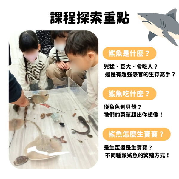 8/24(日)上午 10:00～11:00｜體驗課：勇闖鯊魚世界｜一位小孩350元，一位大人250元 (預付押金 300元) 