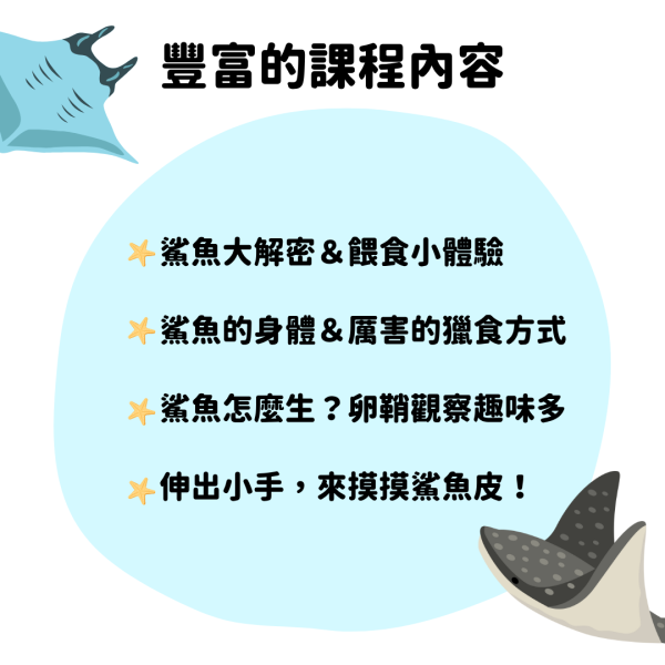 8/24(日)上午 10:00～11:00｜體驗課：勇闖鯊魚世界｜一位小孩350元，一位大人250元 (預付押金 300元) 
