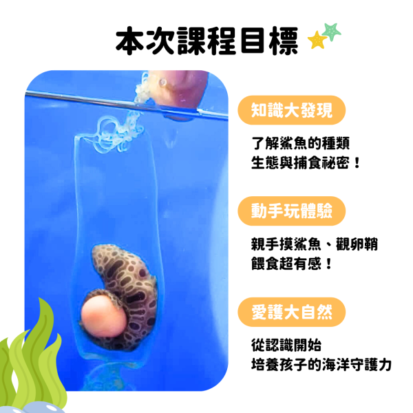 8/24(日)上午 10:00～11:00｜體驗課：勇闖鯊魚世界｜一位小孩350元，一位大人250元 (預付押金 300元) 