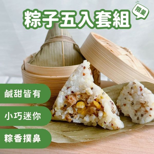 粽子五入套組(2025)｜微調味｜1Y+ 寶寶粽,端午節,粽子,鹹粽,甜粽,童心好食館,副食品,寶寶食物,手指食物,BLW,寶寶水餃,寶寶餛飩,寶寶饅頭,寶寶粥,寶寶飯,寶寶麵,寶寶點心,寶寶燒賣,寶寶糕點,寶寶鬆餅,寶寶丸子,無添加,純天然,粗糧,營養均衡,母嬰