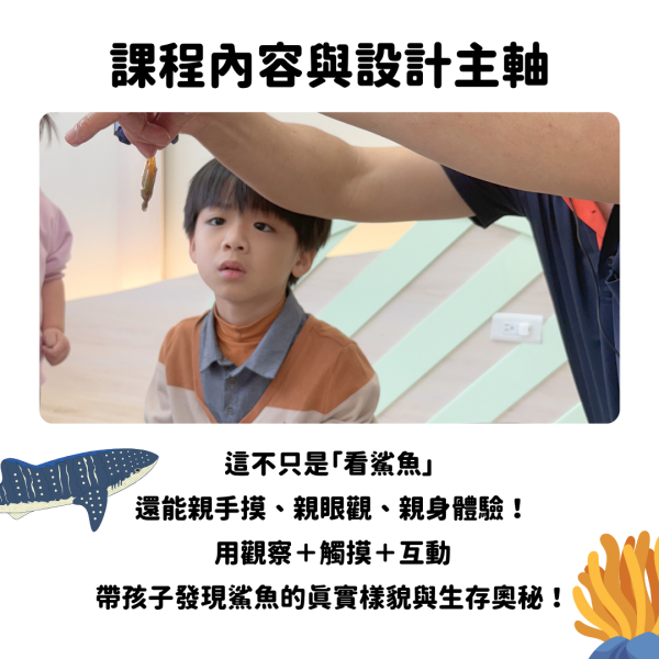 8/24(日)上午 10:00～11:00｜體驗課：勇闖鯊魚世界｜一位小孩350元，一位大人250元 (預付押金 300元) 