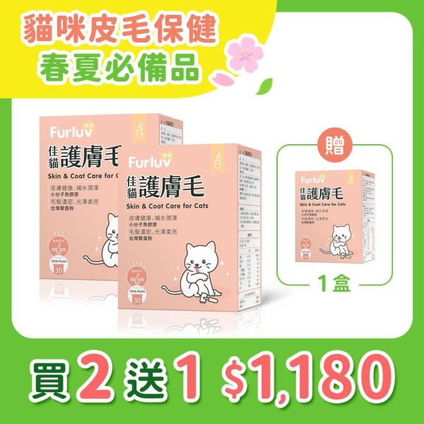 優惠活動 Furluv 樂球 佳貓護膚毛(1g/包；30包/盒)【膚毛好光澤】到期日(2026/08/30) 貓毛髮,貓皮膚,貓異位性皮膚炎,貓搔癢,貓掉毛,貓皮膚病,貓粉刺,鱉蛋,魚膠原,益生菌,貓爆毛,皮膚舒敏,健康肌膚,胜肽