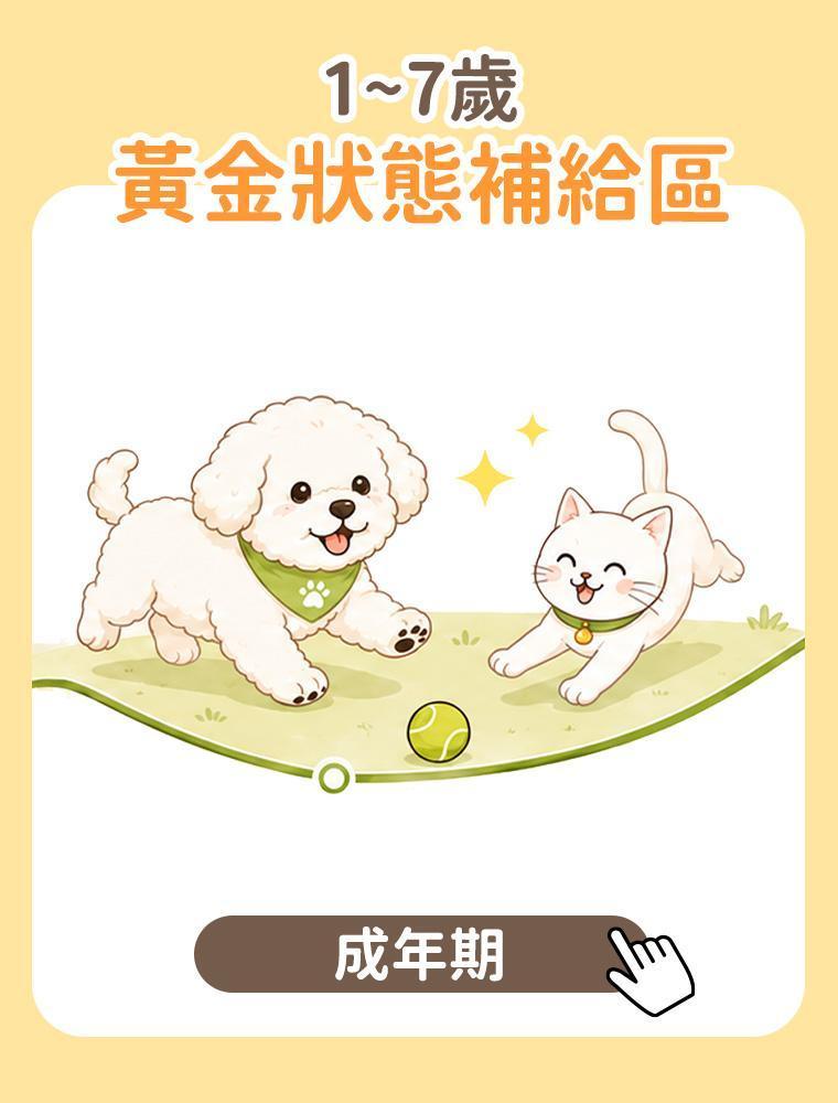 1-7歲成年保健