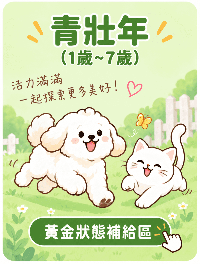 1-7歲成年保健