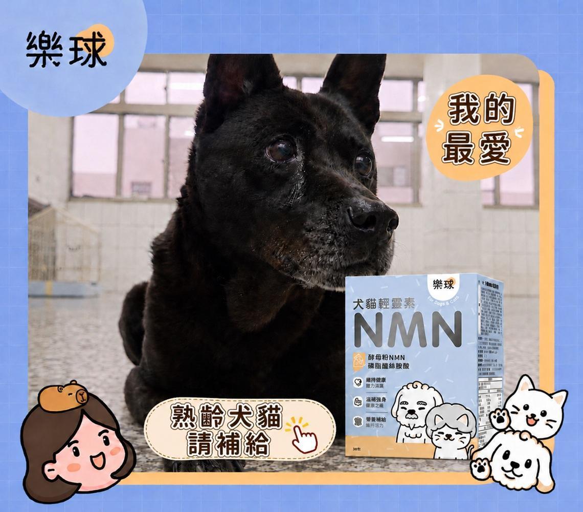 熟齡保健必備 NMN輕靈素