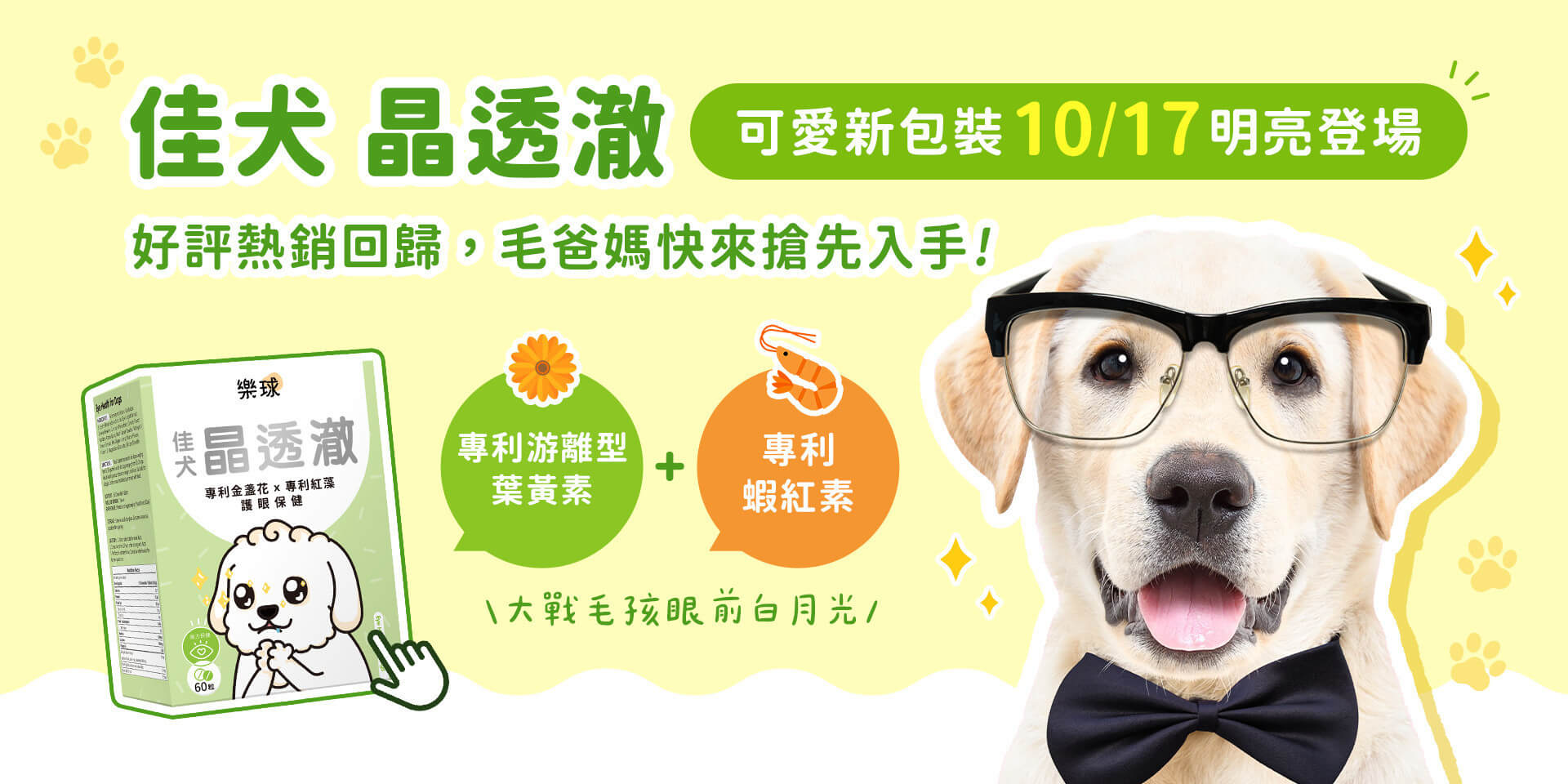 狗狗眼睛保健必備品