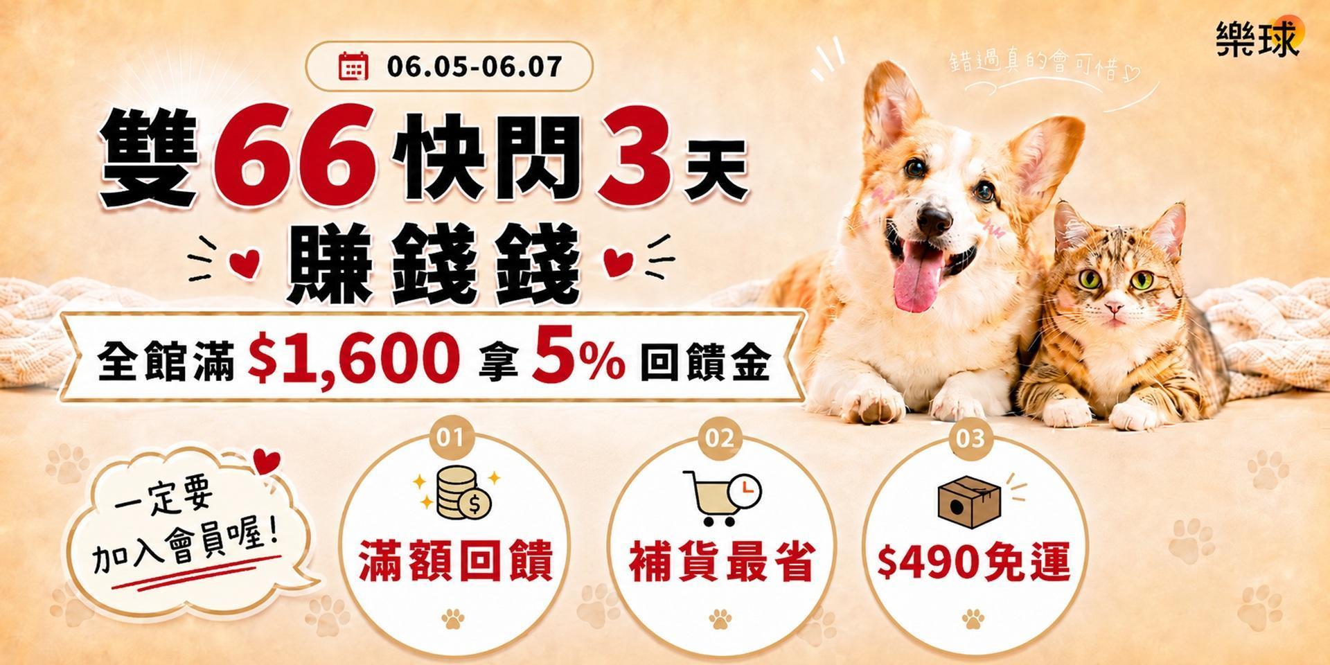 雙66快閃活動
