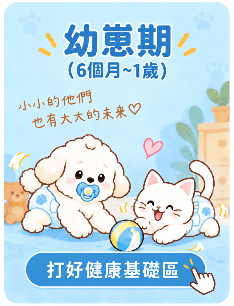 6個月-1歲保健