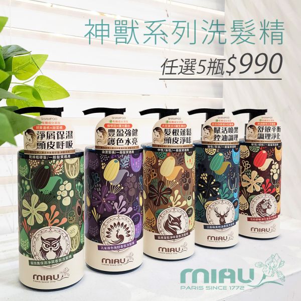 【MIAU】神獸系列洗髮精(500g/瓶) 急救洗髮精/草本養護/強健髮根/滋養頭髮/柔順有彈性/閃耀亮澤髮光/豐潤光采【買5瓶$990再送摩洛哥髮油】 