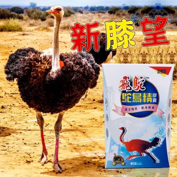 ★鴕鳥精年終大回饋★鴕鳥精健步膠囊1盒(30顆/盒)價值$1880 