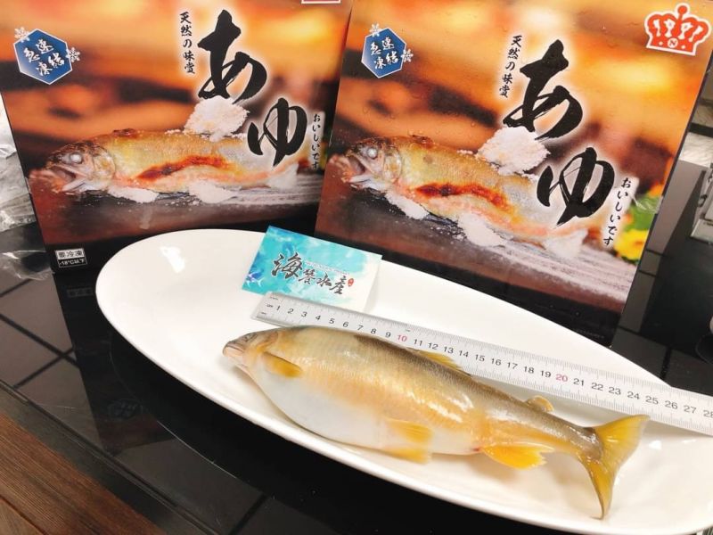 山泉界女王爆卵母香魚 母香魚